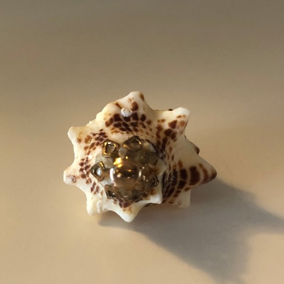 Seashell Pendant with Gold Fascinator for Necklace - Picture 4 of 6